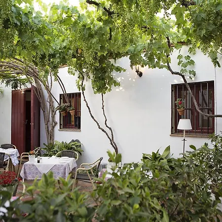 Cortijo Del Arte - Caminito Del Rey Pizarra