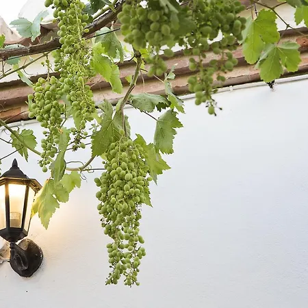 Cortijo Del Arte - Caminito Del Rey Pizarra